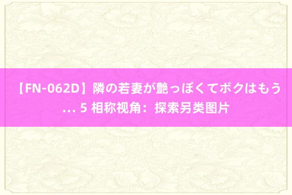 【FN-062D】隣の若妻が艶っぽくてボクはもう… 5 相称视角：探索另类图片