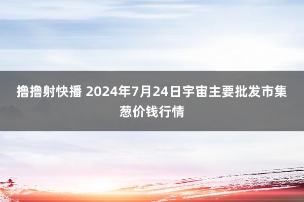 撸撸射快播 2024年7月24日宇宙主要批发市集葱价钱行情