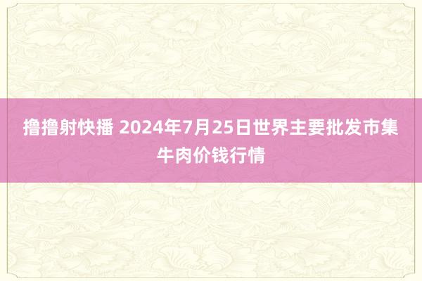 撸撸射快播 2024年7月25日世界主要批发市集牛肉价钱行情