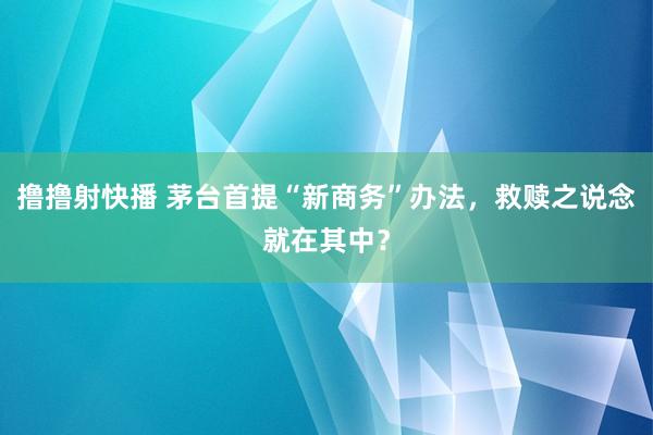 撸撸射快播 茅台首提“新商务”办法，救赎之说念就在其中？