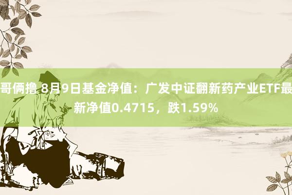 哥俩撸 8月9日基金净值：广发中证翻新药产业ETF最新净值0.4715，跌1.59%