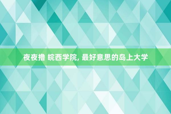 夜夜撸 皖西学院， 最好意思的岛上大学