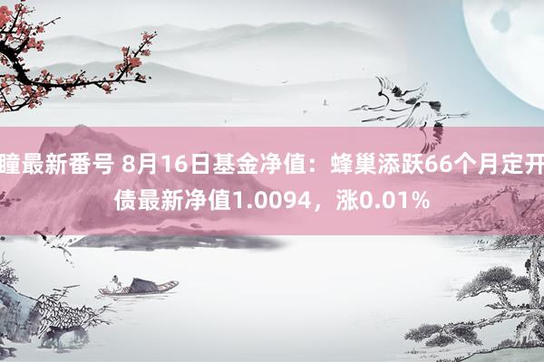 瞳最新番号 8月16日基金净值：蜂巢添跃66个月定开债最新净值1.0094，涨0.01%