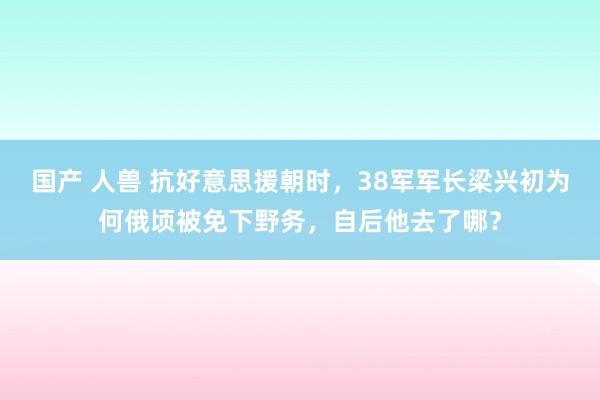 国产 人兽 抗好意思援朝时，38军军长梁兴初为何俄顷被免下野务，自后他去了哪？