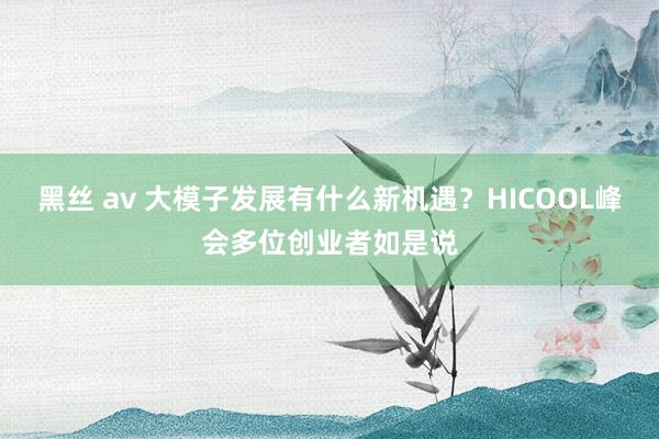 黑丝 av 大模子发展有什么新机遇？HICOOL峰会多位创业者如是说