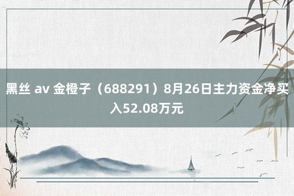 黑丝 av 金橙子（688291）8月26日主力资金净买入52.08万元