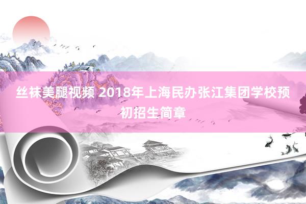 丝袜美腿视频 2018年上海民办张江集团学校预初招生简章